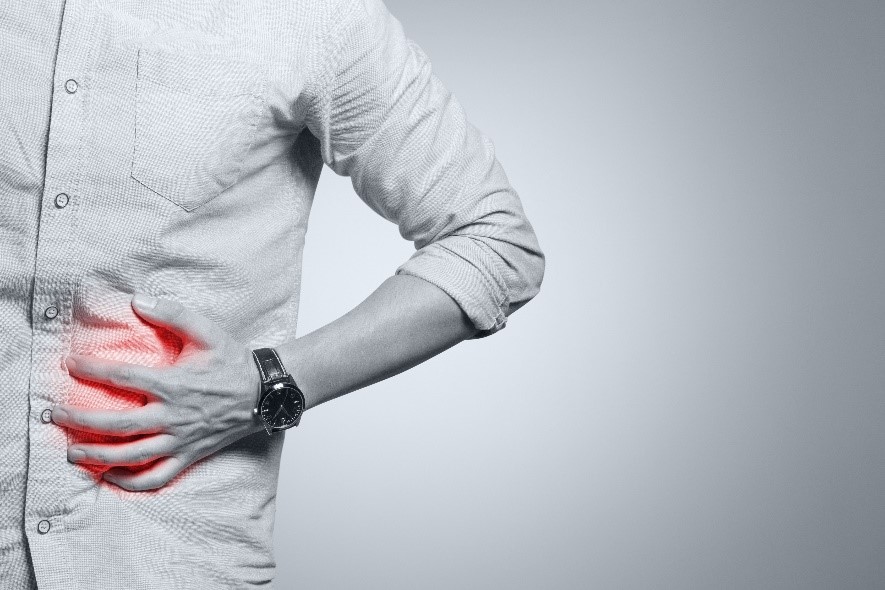 Know why having a healthy liver is important Know why having a healthy liver is important